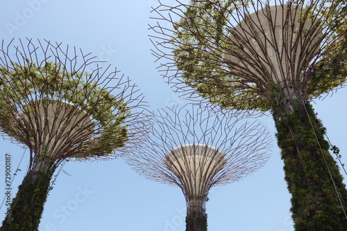 ガーデンズバイザベイ　シンガポール © aquafesta