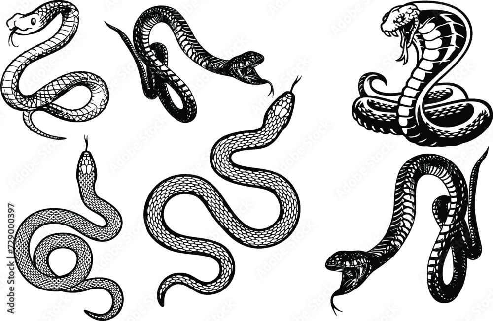 Viper poisonous snakes set in engraving style. serpent cobra and python