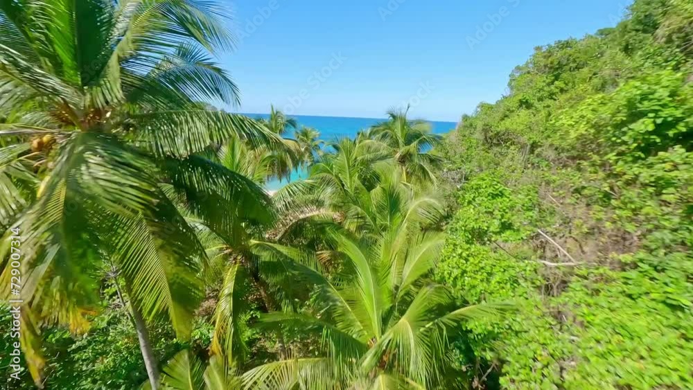 Drone flight over green tropical palm trees in summer. Arriving sandy beach with turquoise water. Playa Onda, Dominican Republic Drone flight over green tropical palm trees in summer. Arriving sandy beach with turquoise water. Playa Onda, Dominican Republic
