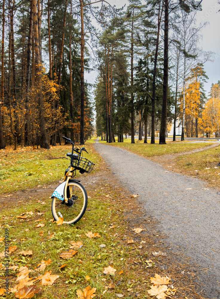 Fototapeta premium Eco bicycle, yellow bike in nature forest at pathway