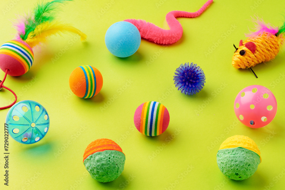 Colorful pet toys balls on green background