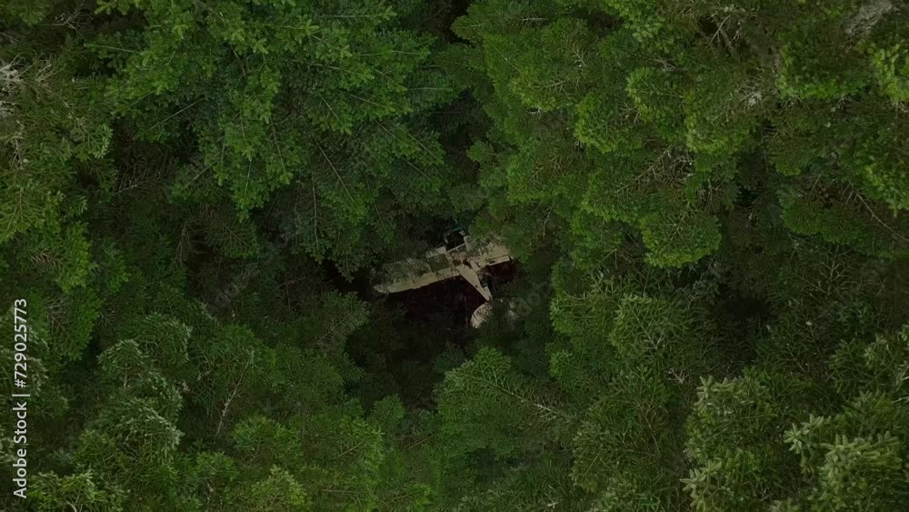 Lifting Birdseye view of an unmanned airplane wreck in a green forest with high trees.