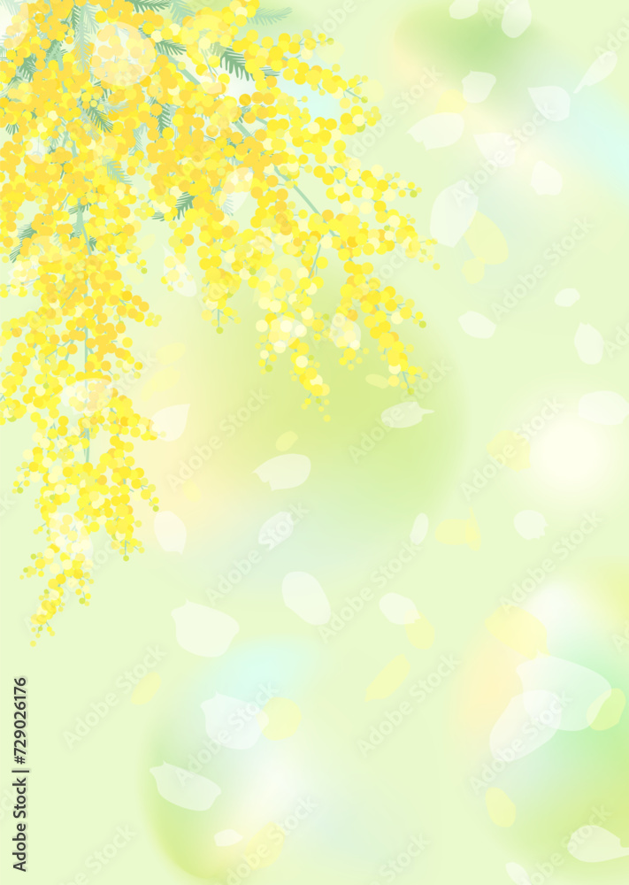 ミモザと明るい緑の背景 ミモザと明るい緑の背景
