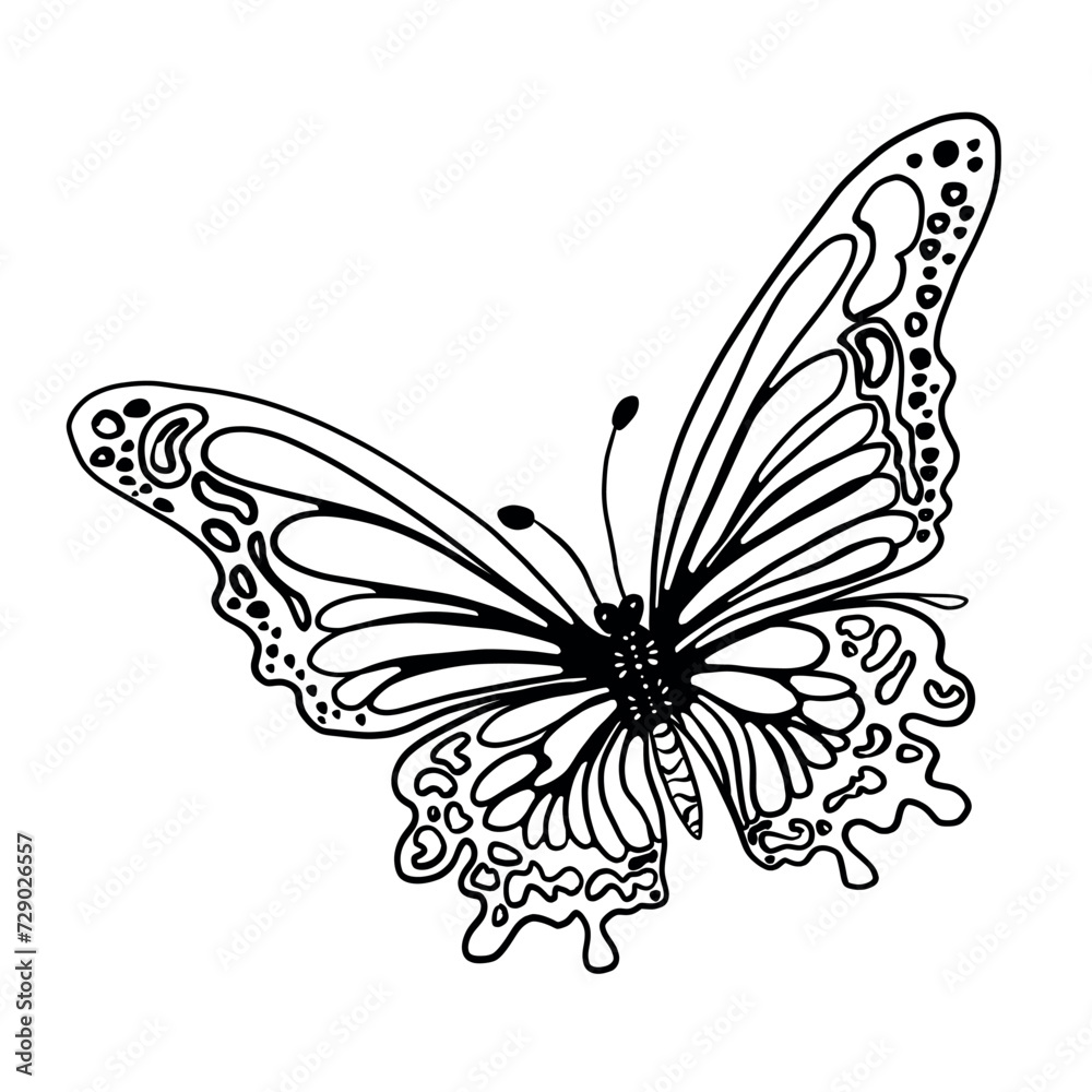 Butterflies. A simple drawing with your own hands. Minimalistic contour illustration. Vector EPS 10. Butterflies. A simple drawing with your own hands. Minimalistic contour illustration. Vector EPS 10.