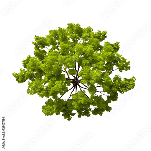 Nature's Tranquility Aerial Greenery on Transparent Background