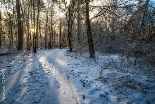 Wintersonne im Januar © thomasriess