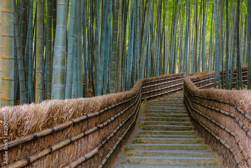 Fototapeta Naklejka Na Ścianę i Meble -  A Bamboo Grove at Adashino Nenbutsuji Temple in Kyoto, Japan