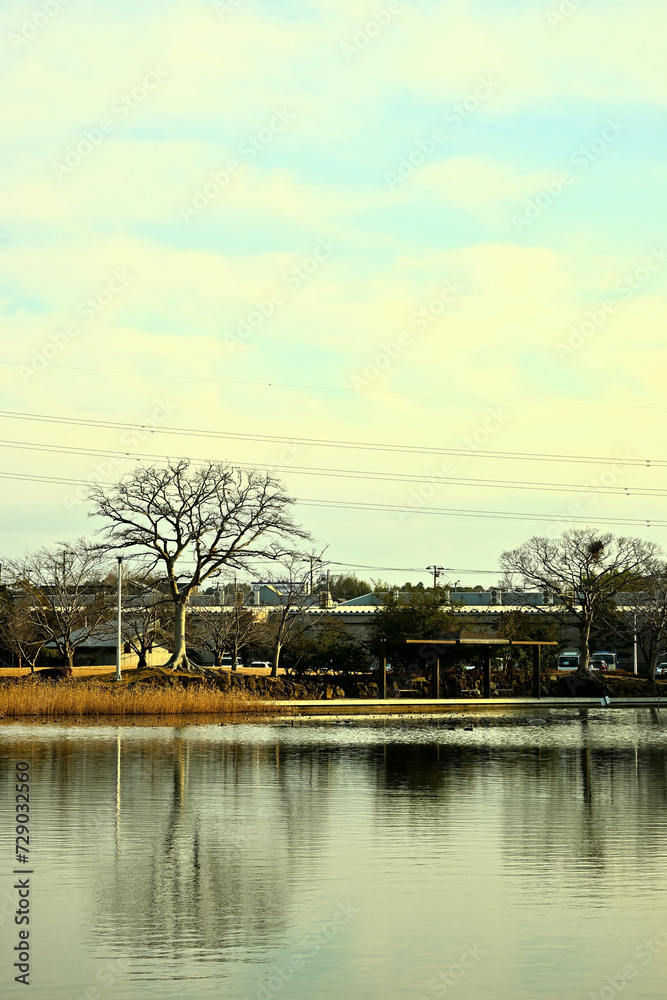 Fototapeta premium 冬の大百池公園