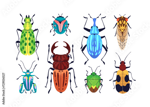 Bugs set. Stag beetle, wasp, fancy animals. Bright colorful fauna species, top view, multicolored wings, different colored patterns. Flat graphic vector illustrations isolated on white background
