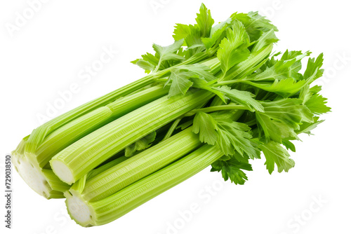 Close up shot of celery stalks without shadows on pure white background