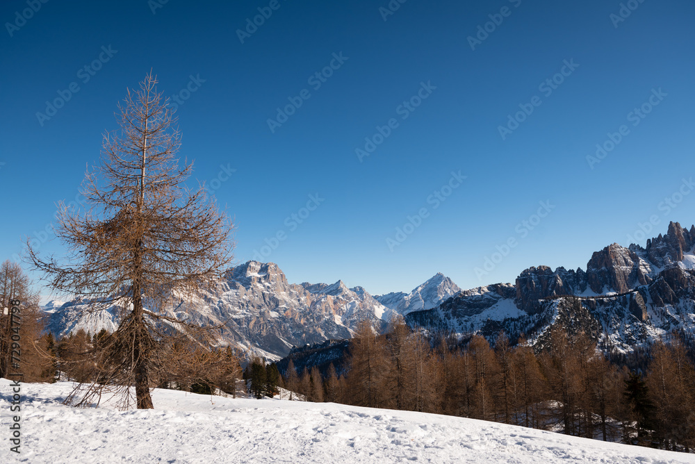 Alps mountain range with a clear blue sky and snow