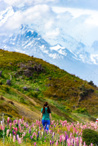 hiker girl standing on the field of lupin flowers with mighty peak of mount cook in front of her; blooming colorful flowers near lake pukaki, canterbury, new zealand south island