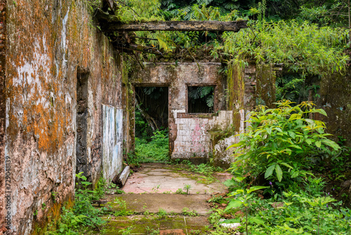 Fototapeta Naklejka Na Ścianę i Meble -  View to old historic ruins from the coffee period in green rainforest