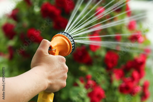 A A man is watering flowers from a hose sprinkler in a park on nature background