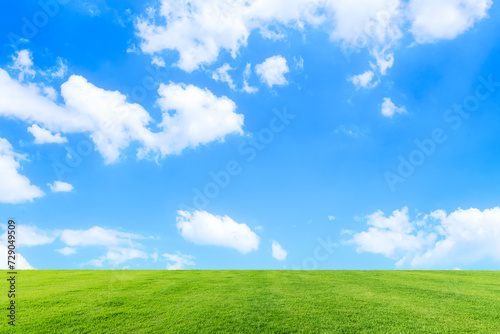 緑の草原と青空