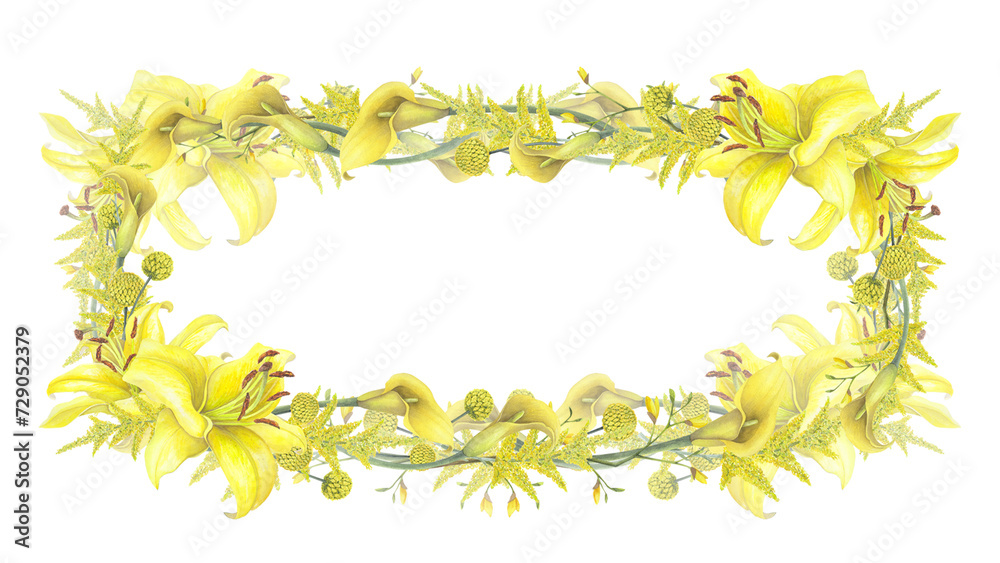 Lilies Yellow flower, calla lilies, craspedia, Solidago Frame border isolated on white background. Watercolor hand drawn botanic illustration. Art design wedding invitation, greeting card, decoration Lilies Yellow flower, calla lilies, craspedia, Solidago Frame border isolated on white background. Watercolor hand drawn botanic illustration. Art design wedding invitation, greeting card, decoration
