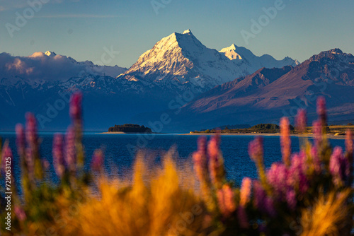 unique view of mount cook with lake pukaki and colorful lupin flowers at sunset photo