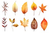 Watercolor autumn leaves set isolated on white background. Hand drawn illustration.