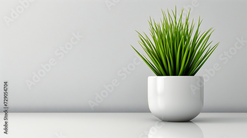 Fresh Green Plants in Modern Home  Minimalist Interior Design with Botanical Decor  Scandinavian Style