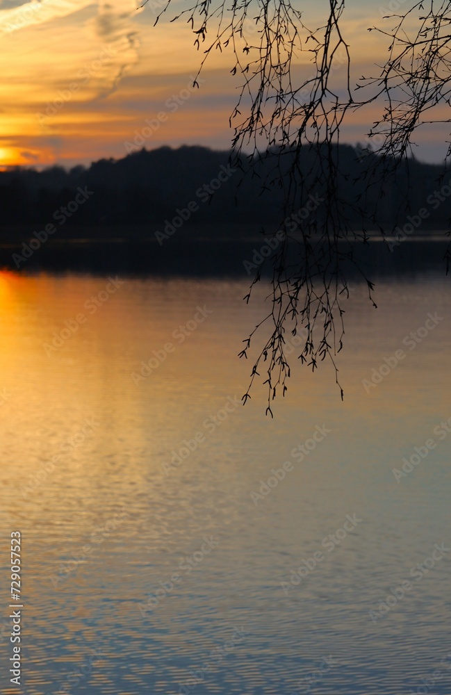 Fototapeta premium branch against sunset on the lake