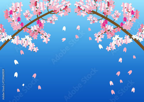 日本の花桜が舞い散る背景用イラスト