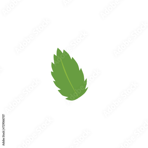 Mint leaf icon, natural fragrant fresh green peppermint, melissa, herbal tea foliage, vector botanical floral element