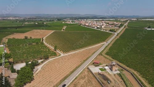 Penedes vineyards near Barcelona, Spain. Aerial forward view photo