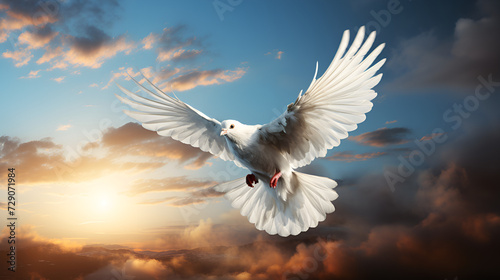 Beautiful pigeon flying in the sky n.Beautiful Dove in Flight Against Blue Sky