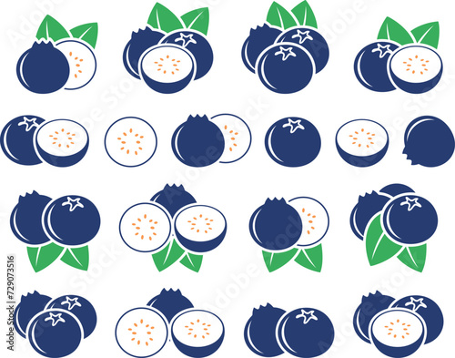 Blueberry logo. Isolated blueberry on white background