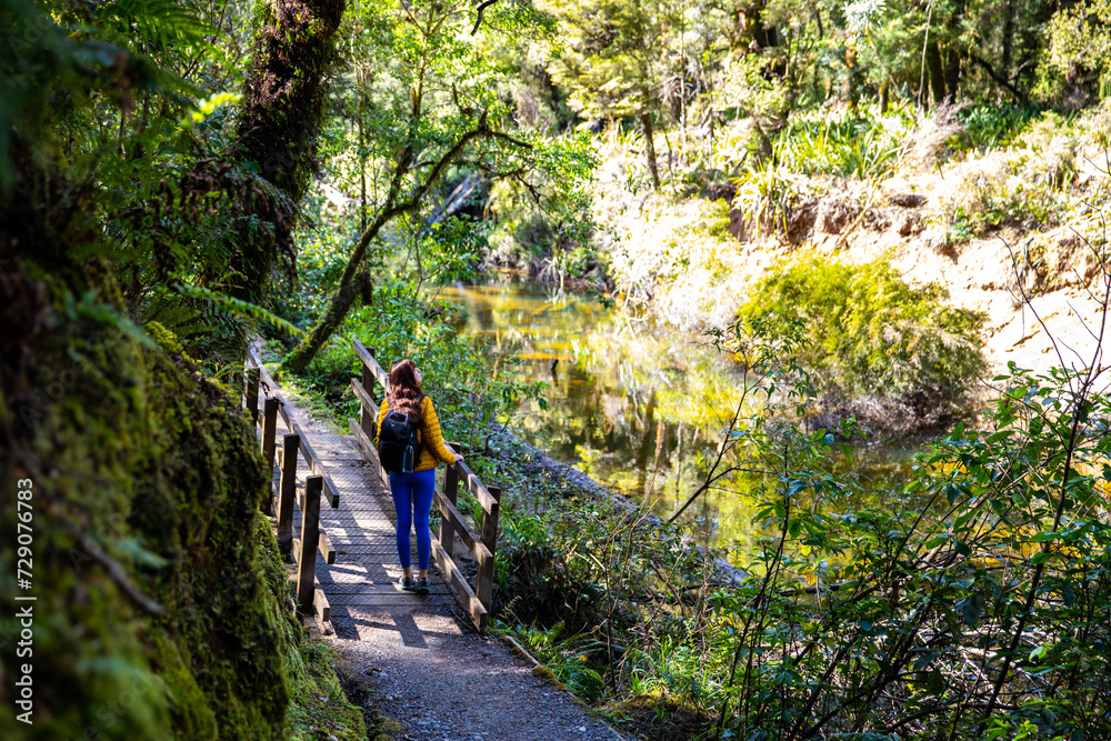 hiker walking through lush rainforest on the west coast of new zealand south island; path to famous coal creek falls near greymouth hiker walking through lush rainforest on the west coast of new zealand south island; path to famous coal creek falls near greymouth