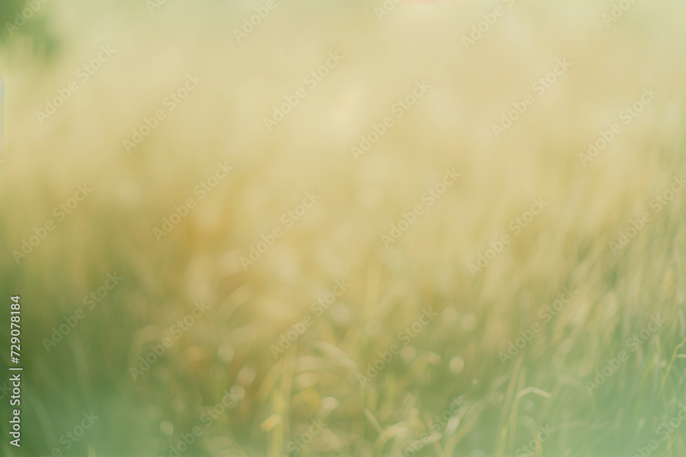 Abstract blurred background of a sunlit field, evoking a sense of summer or spring
