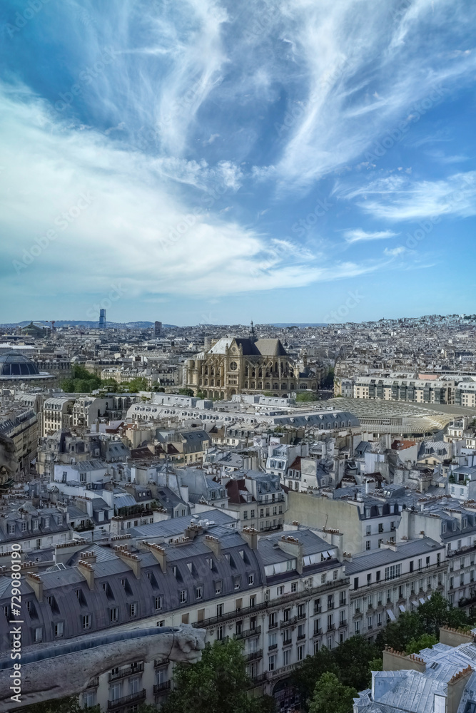 Paris, aerial view of the city