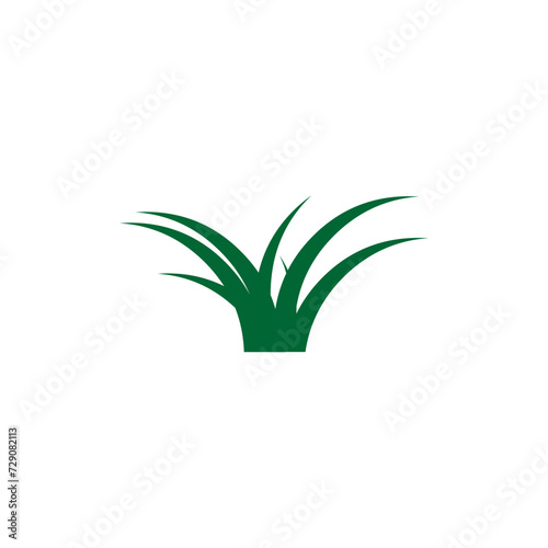 vector element grass with green color nature