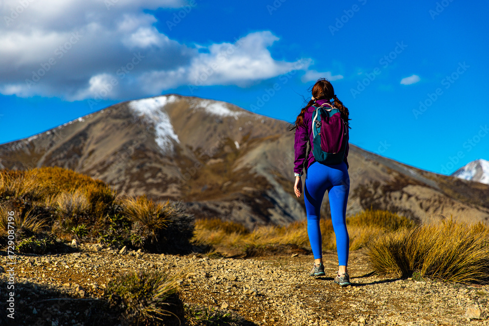 Fototapeta premium adventurous hiker girl on the way to the top of trig m, scenic peak in new zealand alps, near arthur's pass village and lake lyndon; 