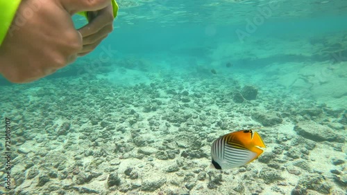 Child Snorkeling Underwater In Hawaii With Tropical Fish; Gives A Thumbs Up To The Camera; 4K.