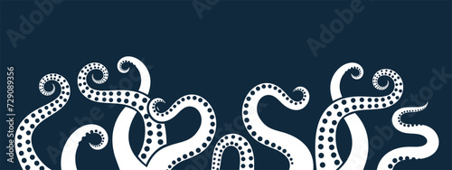 Octopus tentacles. Isolated octopus tentacles on white background