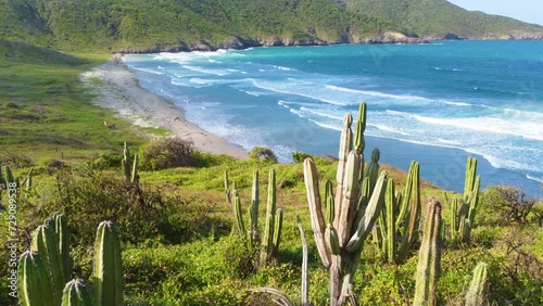 Drone shot over large cactus with in the background water rooling at the beach of Tayrona National Park. photo