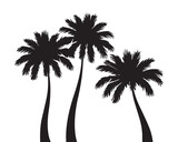 Silhouette of palm trees vector design element.