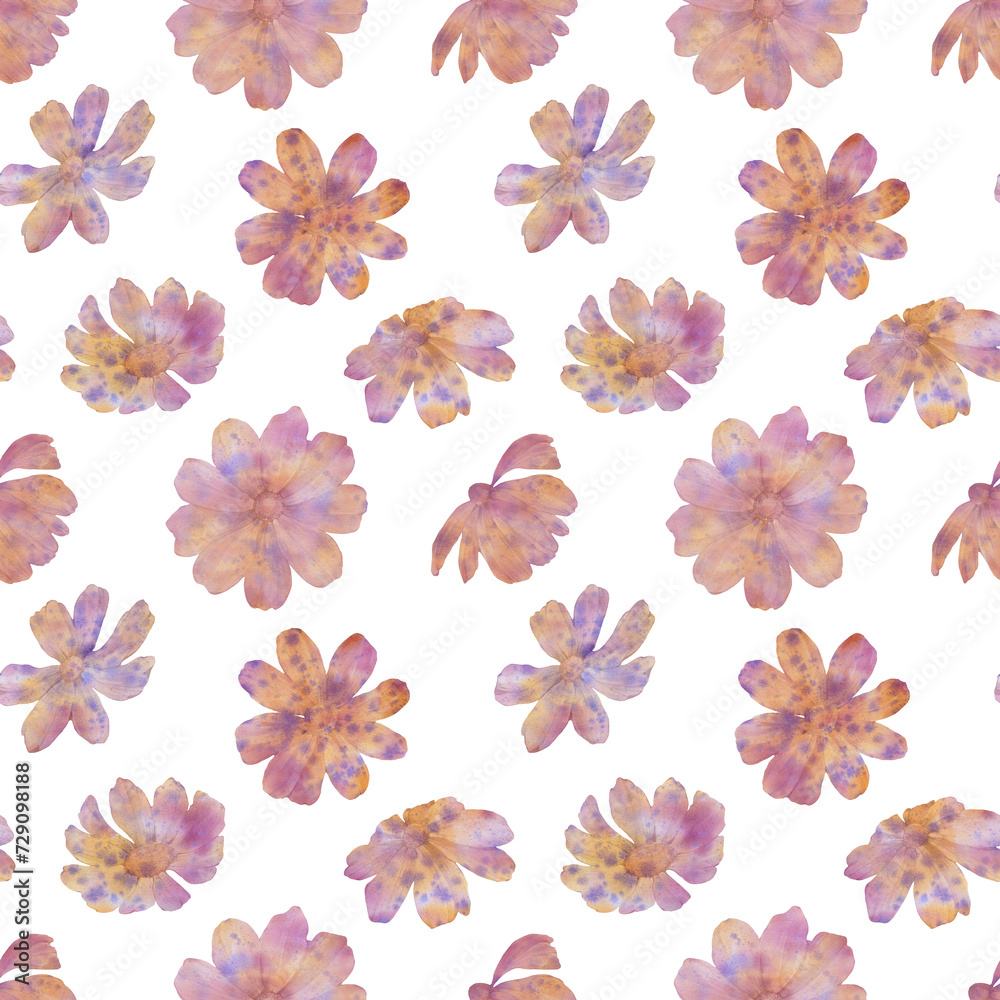 watercolor flowers drawn on paper isolated on white background, seamless pattern