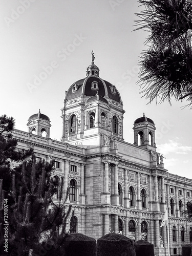 Timeless Majesty: Kunsthistorisches Museum Wien in Monochrome Magnificence