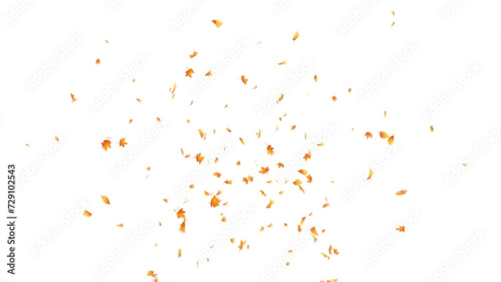 Autumn Leaves. Autumn Leaf Particles. With Alpha Matte channel. Autumn Leaves. Autumn Leaf Particles. With Alpha Matte channel.
