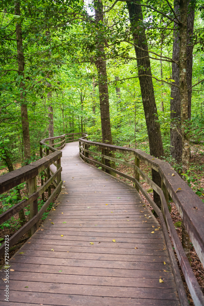 Fototapeta premium Boardwalk Trail at Congaree National Park in central South Carolina