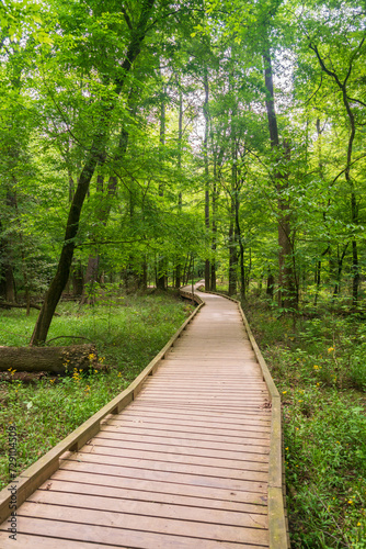 Boardwalk Trail at Congaree National Park in central South Carolina