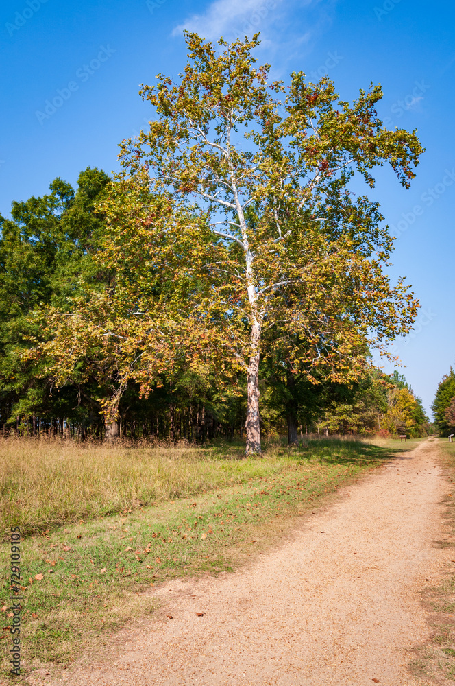 Cowpens National Battlefield Park, in South Carolina, Major Battlefield of the American Revolutionary War