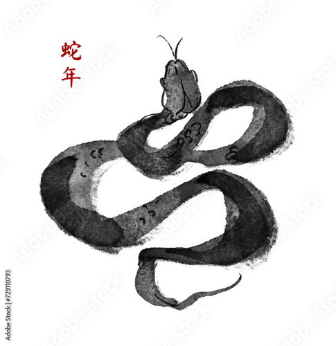 Snake. Ink hand drawn animal. Chinese Brushwork. Chinese new year symbol. Asian lunar calendar beast. Chinese text means "The year of the snake".