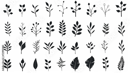 set, collection of simple leaves and branches isolated on a white background, minimalism flat graphics for design, black and white style
