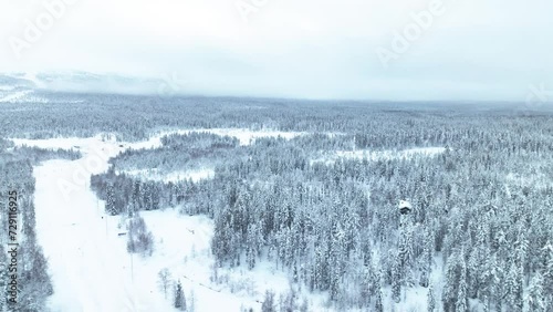 Panorama Of Snowscape Dense Forest In Pyha-Luosto National Park In Finland. Aerial Drone Shot photo