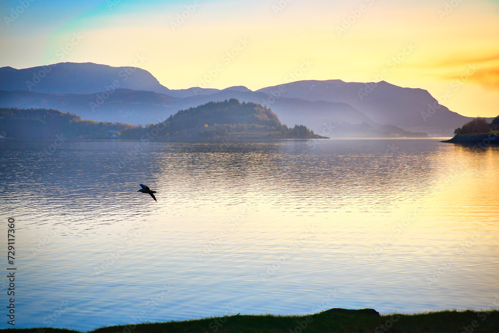 Fjord in Norway at Westcap. Seagull flies over the water before sunset. Mountains