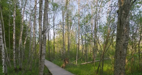 POV walking along wooden walkway at Nupuri nature trail in spring, Nupuri, Espoo, Finland. photo