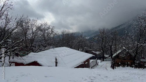 J&K Kupwara Winters snow huge: Crisp dry trees whisper in autumn's farewell a beautiful landscape photo